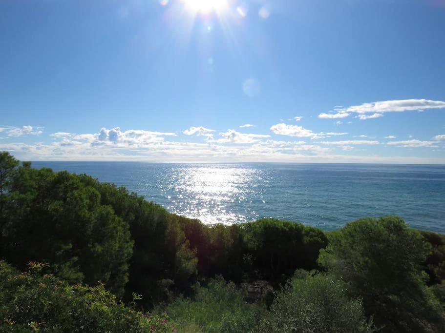 Apartament Coqueto Alojamiento Con Banera De Hidromasaje Tarragona Zewnętrze zdjęcie